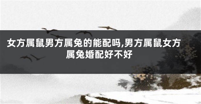 女方属鼠男方属兔的能配吗,男方属鼠女方属兔婚配好不好