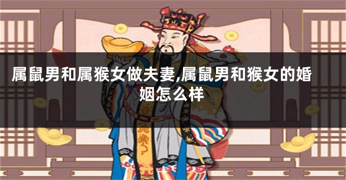 属鼠男和属猴女做夫妻,属鼠男和猴女的婚姻怎么样