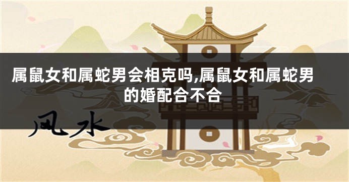 属鼠女和属蛇男会相克吗,属鼠女和属蛇男的婚配合不合