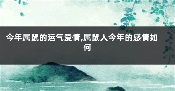 今年属鼠的运气爱情,属鼠人今年的感情如何