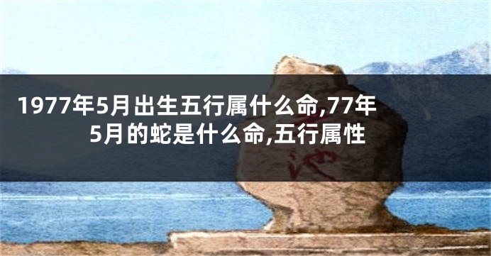 1977年5月出生五行属什么命,77年5月的蛇是什么命,五行属性