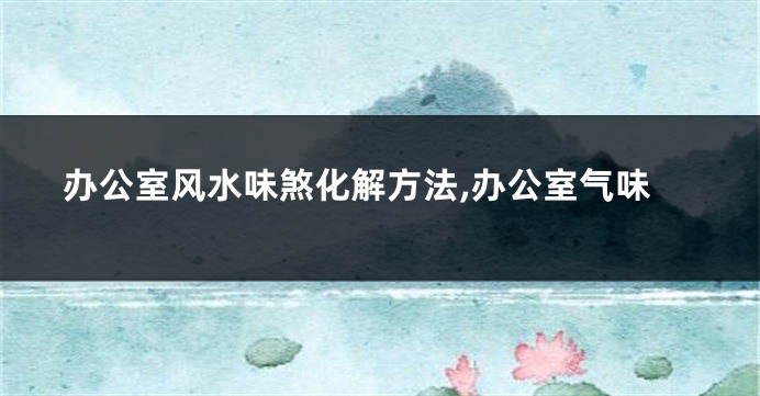 办公室风水味煞化解方法,办公室气味