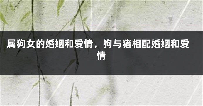 属狗女的婚姻和爱情，狗与猪相配婚姻和爱情
