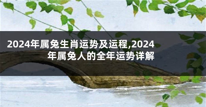 2024年属兔生肖运势及运程,2024年属兔人的全年运势详解
