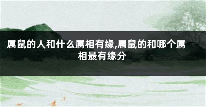 属鼠的人和什么属相有缘,属鼠的和哪个属相最有缘分