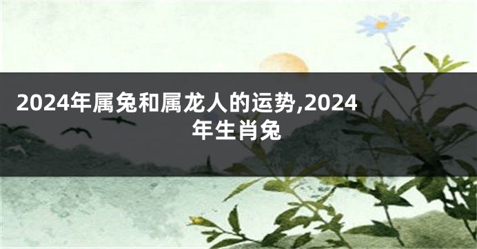 2024年属兔和属龙人的运势,2024年生肖兔