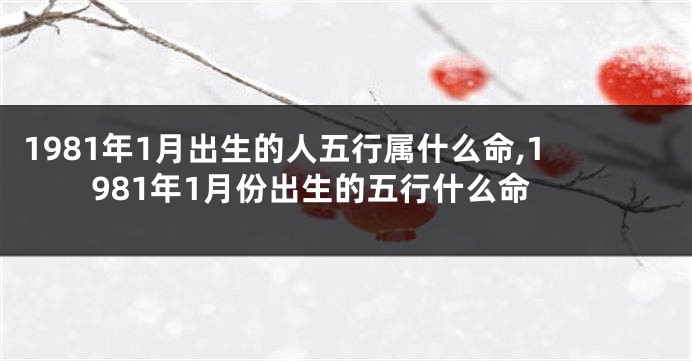 1981年1月出生的人五行属什么命,1981年1月份出生的五行什么命