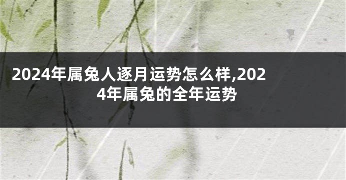 2024年属兔人逐月运势怎么样,2024年属兔的全年运势