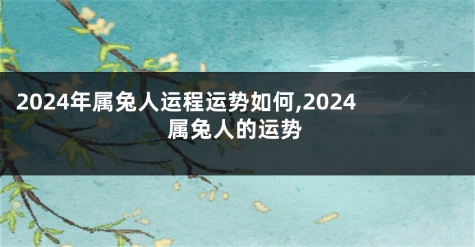 2024年属兔人运程运势如何,2024属兔人的运势