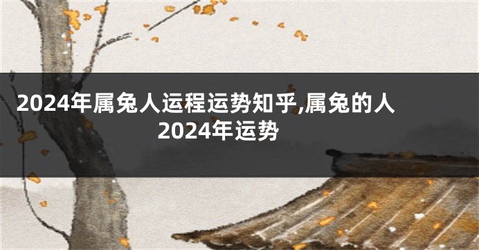 2024年属兔人运程运势知乎,属兔的人2024年运势