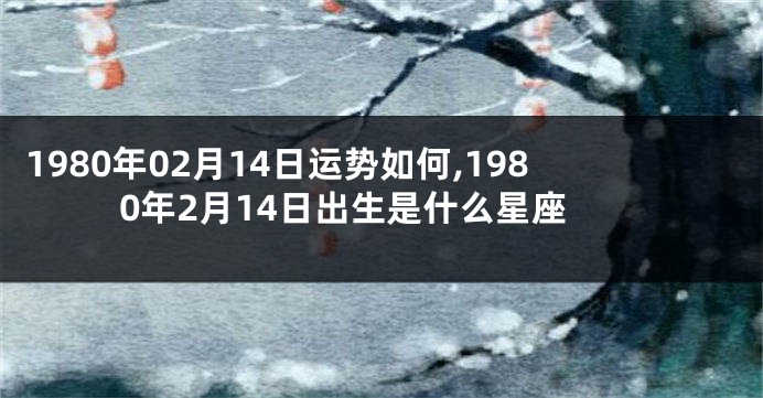 1980年02月14日运势如何,1980年2月14日出生是什么星座