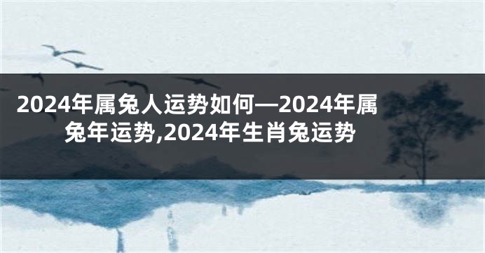 2024年属兔人运势如何—2024年属兔年运势,2024年生肖兔运势