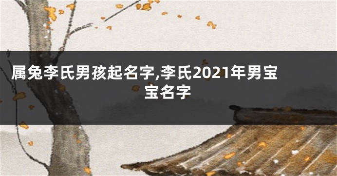 属兔李氏男孩起名字,李氏2021年男宝宝名字