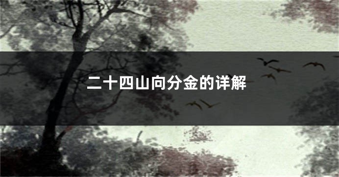 二十四山向分金的详解