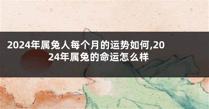 2024年属兔人每个月的运势如何,2024年属兔的命运怎么样