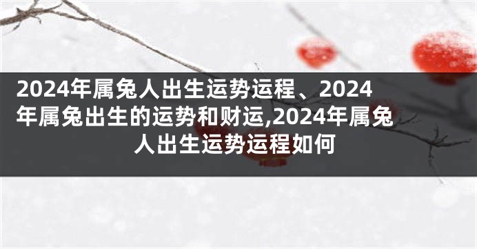 2024年属兔人出生运势运程、2024年属兔出生的运势和财运,2024年属兔人出生运势运程如何