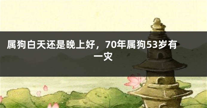 属狗白天还是晚上好，70年属狗53岁有一灾