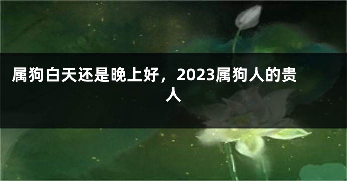 属狗白天还是晚上好，2023属狗人的贵人