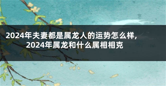 2024年夫妻都是属龙人的运势怎么样,2024年属龙和什么属相相克