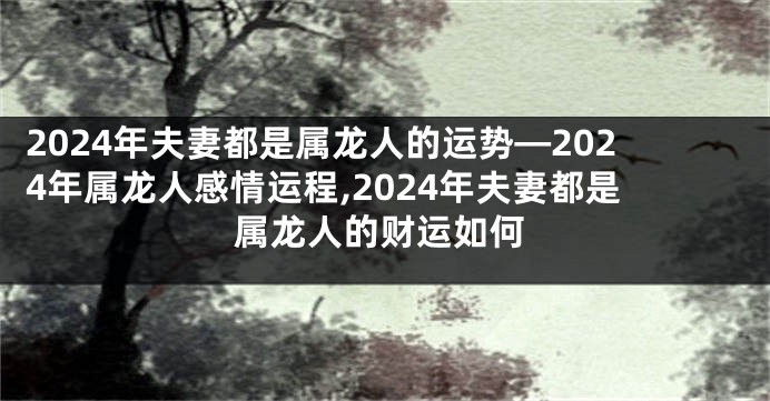 2024年夫妻都是属龙人的运势—2024年属龙人感情运程,2024年夫妻都是属龙人的财运如何