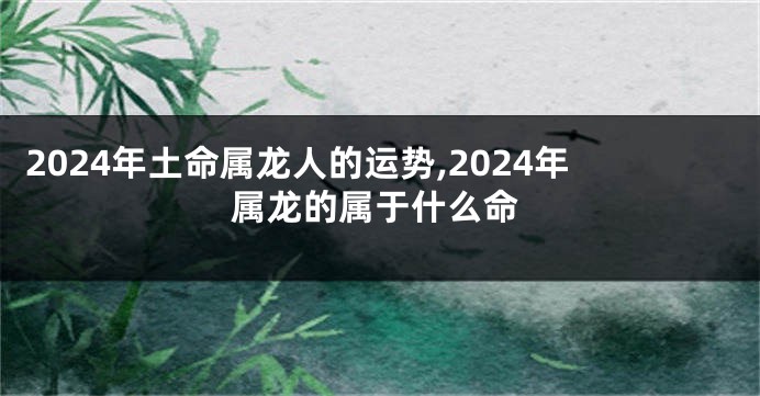 2024年土命属龙人的运势,2024年属龙的属于什么命