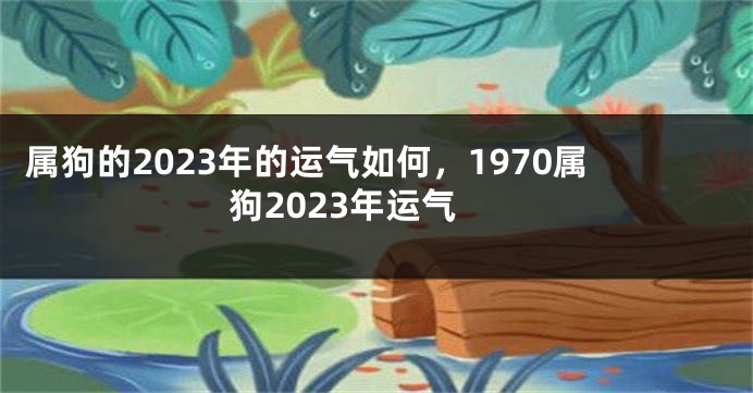 属狗的2023年的运气如何，1970属狗2023年运气