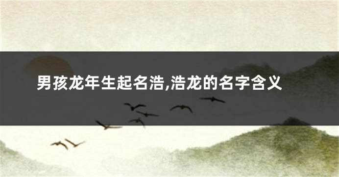 男孩龙年生起名浩,浩龙的名字含义