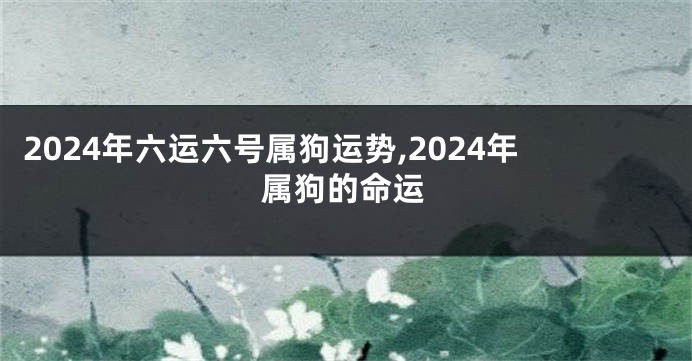 2024年六运六号属狗运势,2024年属狗的命运