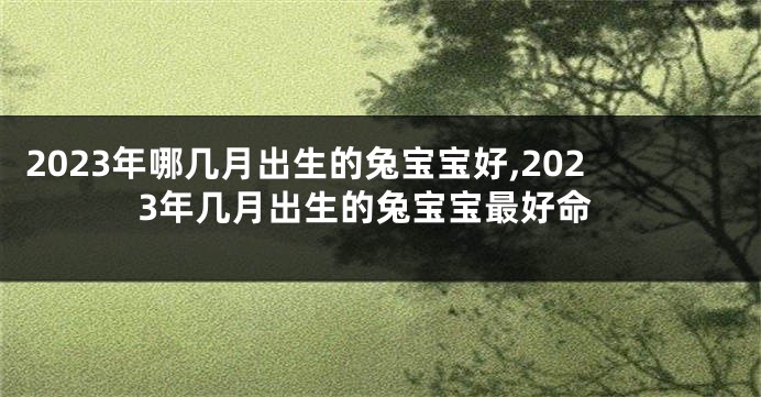 2023年哪几月出生的兔宝宝好,2023年几月出生的兔宝宝最好命