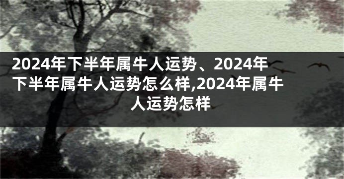 2024年下半年属牛人运势、2024年下半年属牛人运势怎么样,2024年属牛人运势怎样