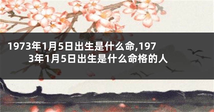 1973年1月5日出生是什么命,1973年1月5日出生是什么命格的人