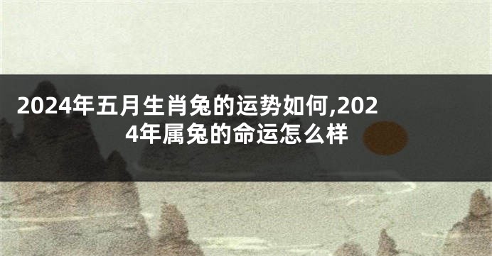 2024年五月生肖兔的运势如何,2024年属兔的命运怎么样