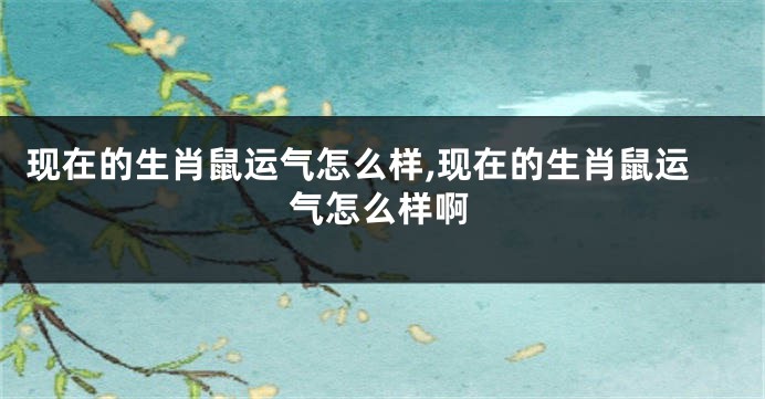 现在的生肖鼠运气怎么样,现在的生肖鼠运气怎么样啊