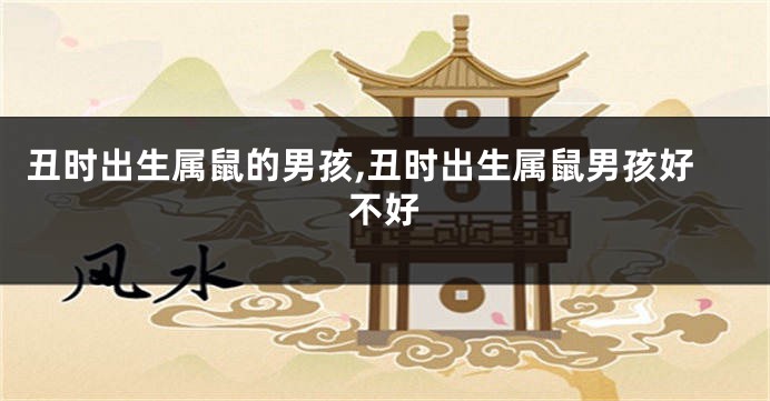丑时出生属鼠的男孩,丑时出生属鼠男孩好不好