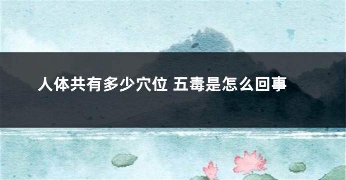 人体共有多少穴位 五毒是怎么回事