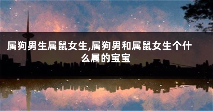 属狗男生属鼠女生,属狗男和属鼠女生个什么属的宝宝