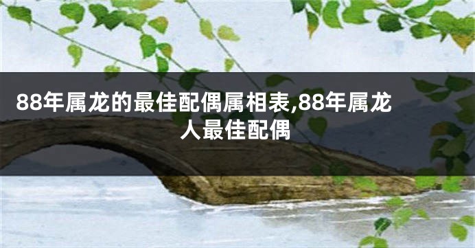 88年属龙的最佳配偶属相表,88年属龙人最佳配偶