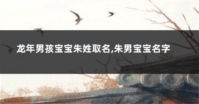 龙年男孩宝宝朱姓取名,朱男宝宝名字