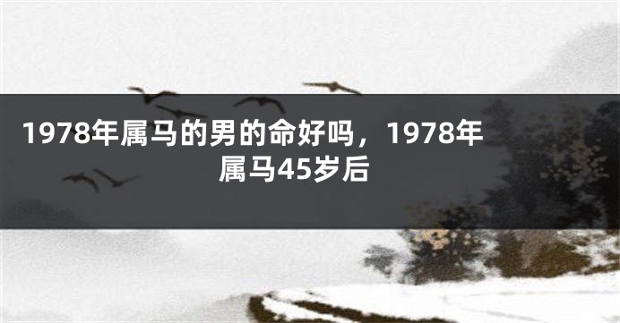 1978年属马的男的命好吗，1978年属马45岁后