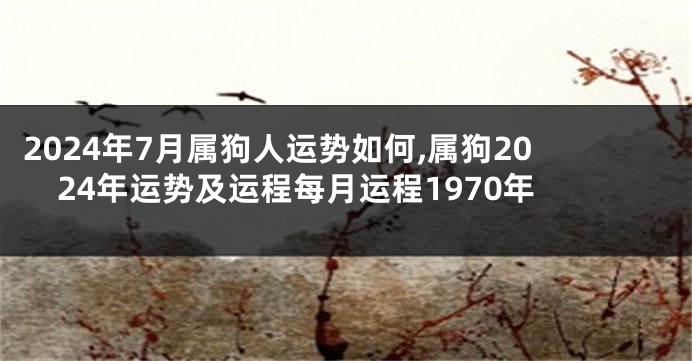 2024年7月属狗人运势如何,属狗2024年运势及运程每月运程1970年