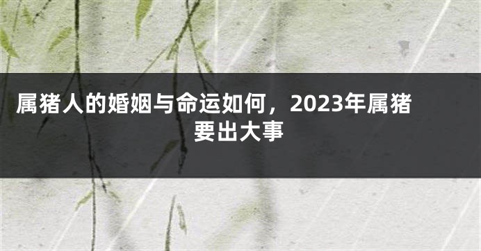 属猪人的婚姻与命运如何，2023年属猪要出大事