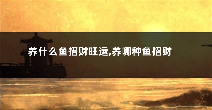 养什么鱼招财旺运,养哪种鱼招财