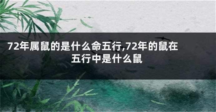 72年属鼠的是什么命五行,72年的鼠在五行中是什么鼠