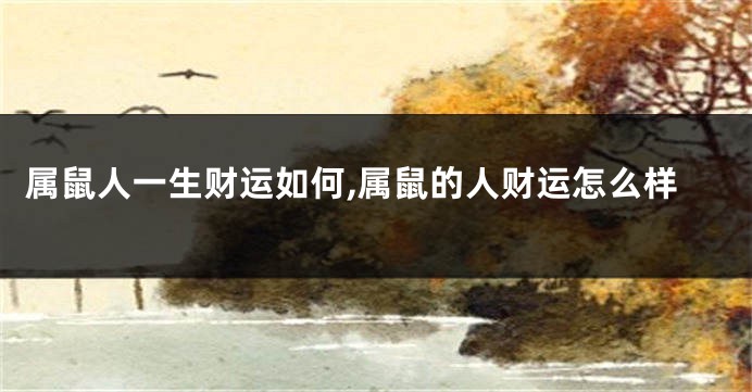 属鼠人一生财运如何,属鼠的人财运怎么样