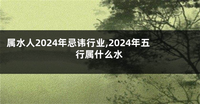 属水人2024年忌讳行业,2024年五行属什么水
