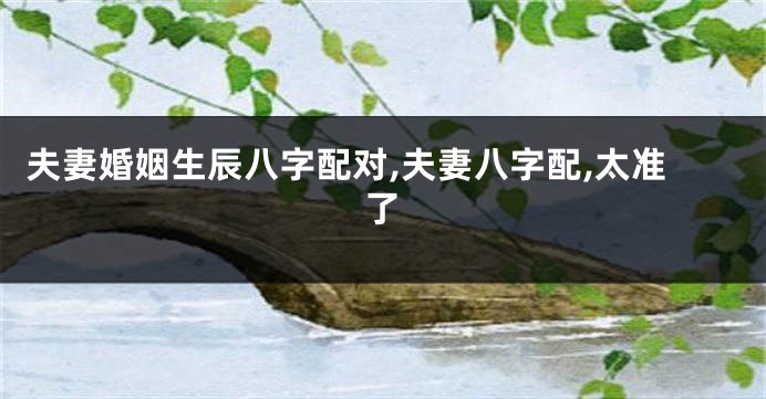 夫妻婚姻生辰八字配对,夫妻八字配,太准了