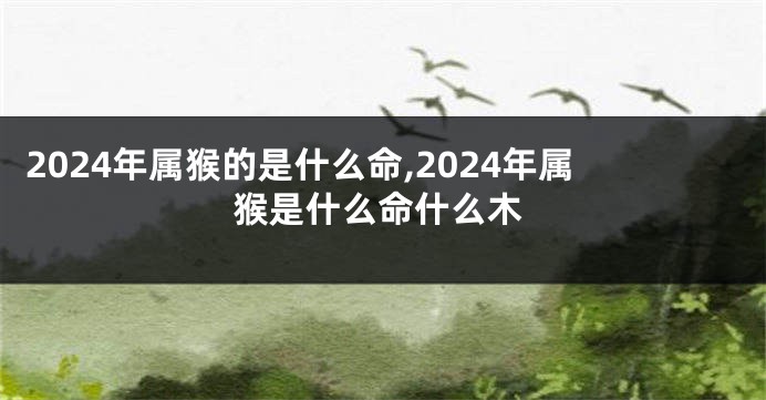 2024年属猴的是什么命,2024年属猴是什么命什么木