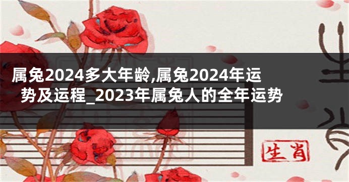 属兔2024多大年龄,属兔2024年运势及运程_2023年属兔人的全年运势