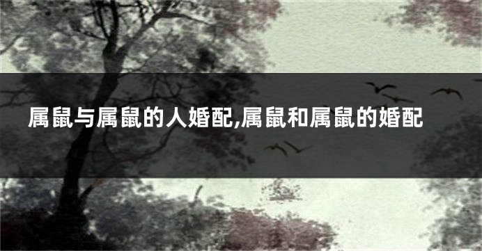 属鼠与属鼠的人婚配,属鼠和属鼠的婚配