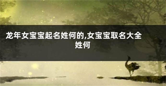 龙年女宝宝起名姓何的,女宝宝取名大全 姓何